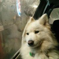 /photo/723885/我自己/t01e9ea6775ed1662c7 (1)_1_1_small.jpg